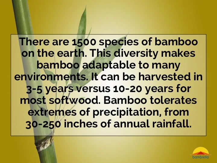 Slide13.jpg