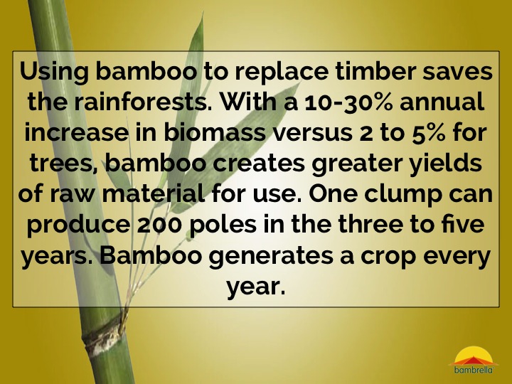 Slide22.jpg