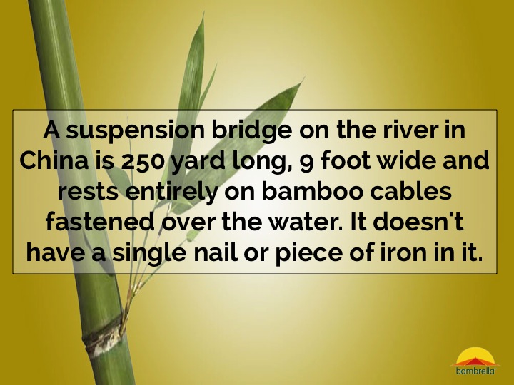 Slide26.jpg