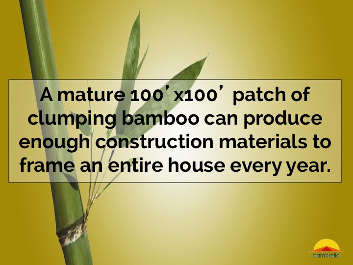 Slide28.jpg