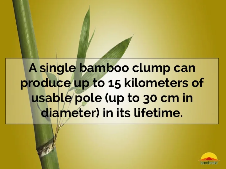 Slide33.jpg