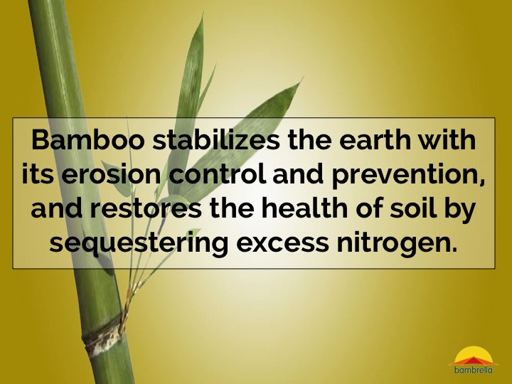 Slide35.jpg