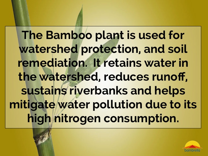 Slide36.jpg