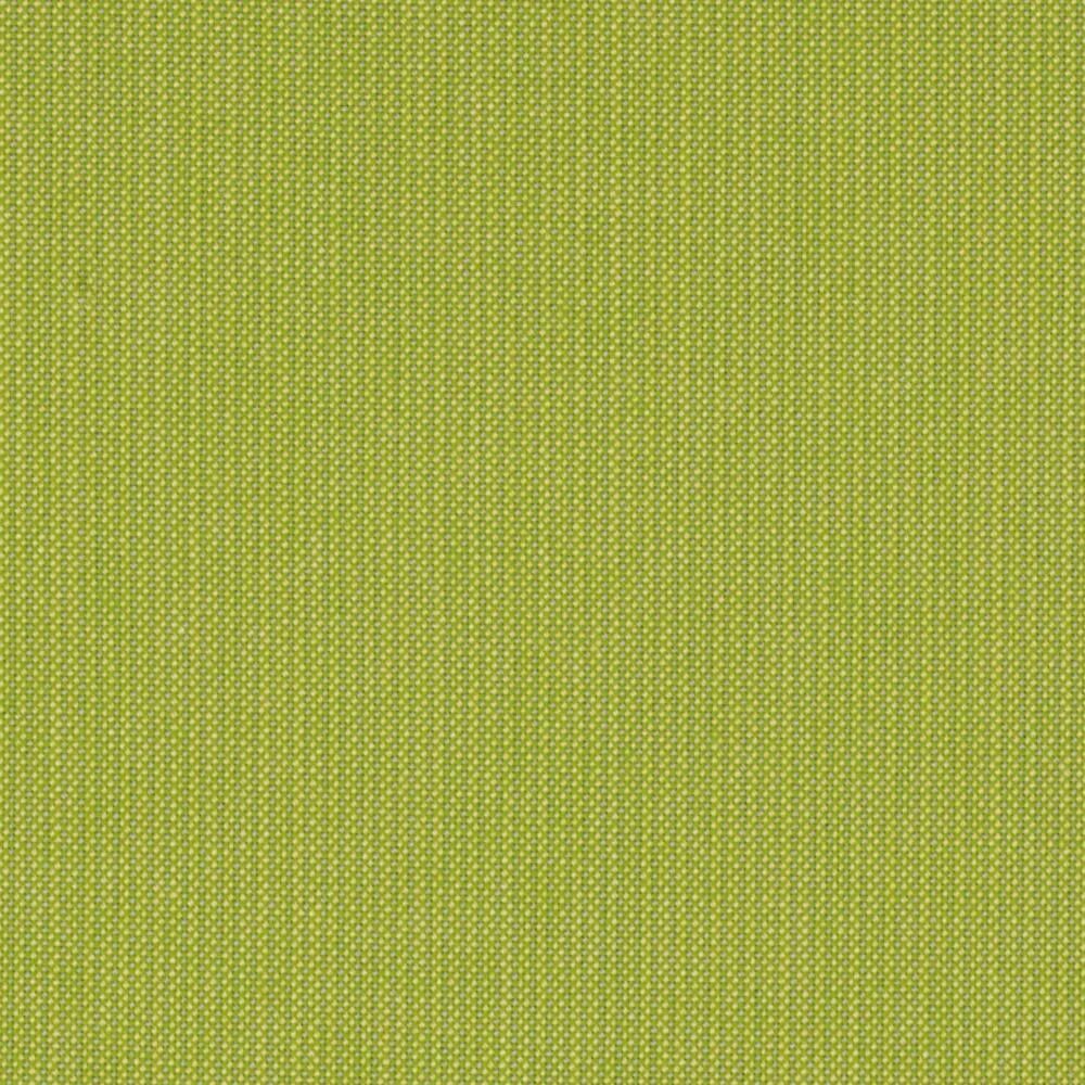 Kiwi 48023