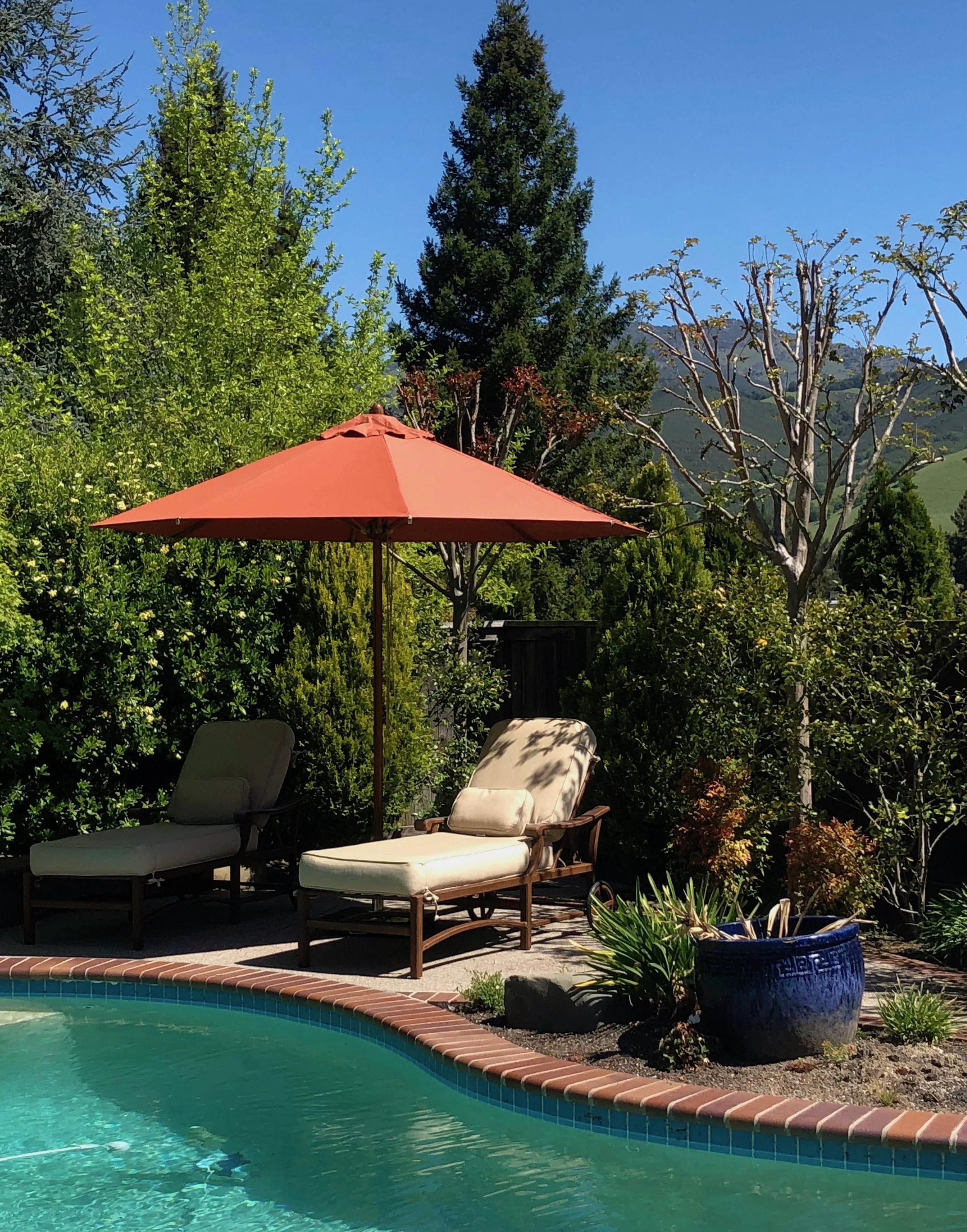 Bambrella Levante Bamboo Center Pole Commercial Umbrella — Bambrella