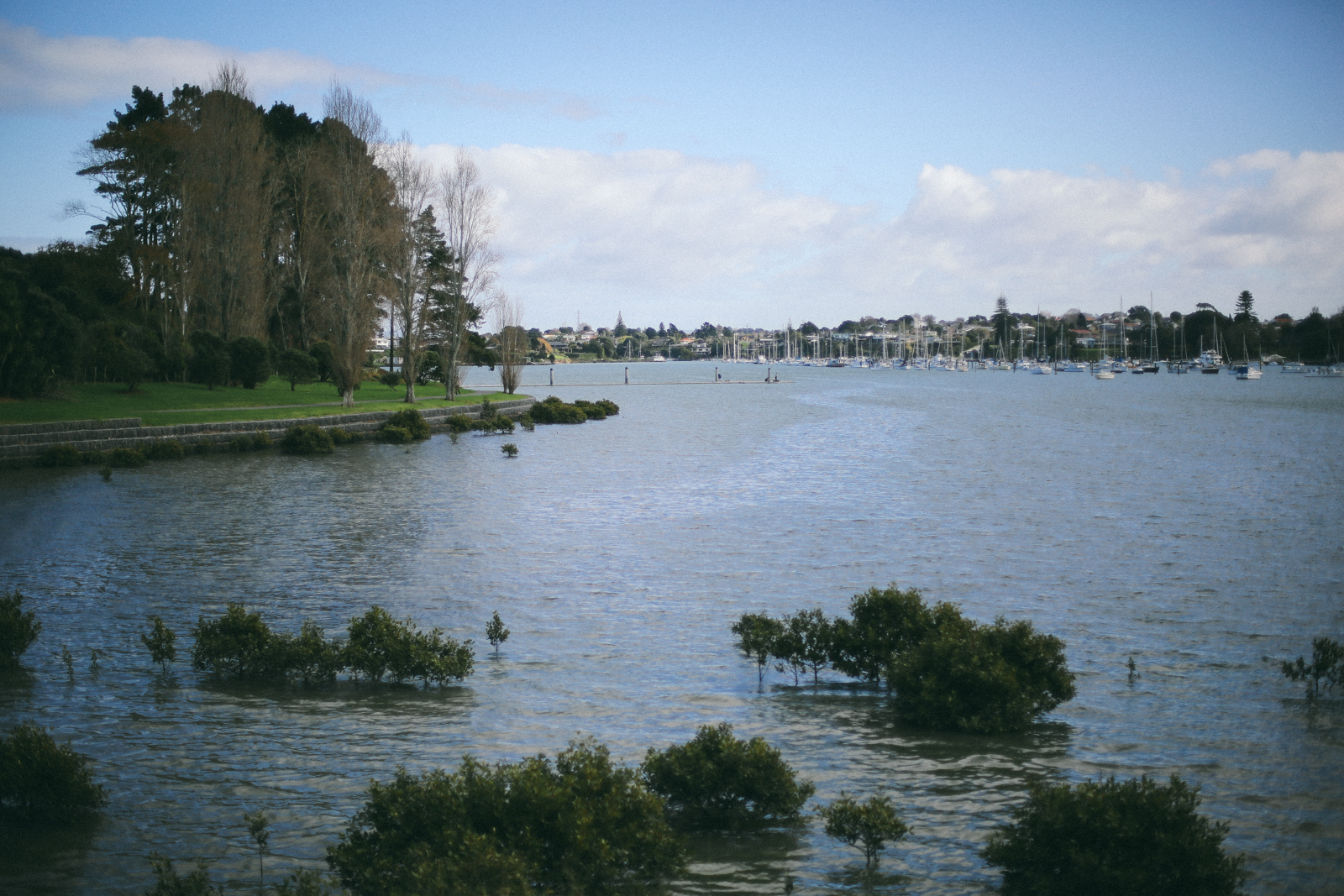 AfternoonStroll-31.jpg