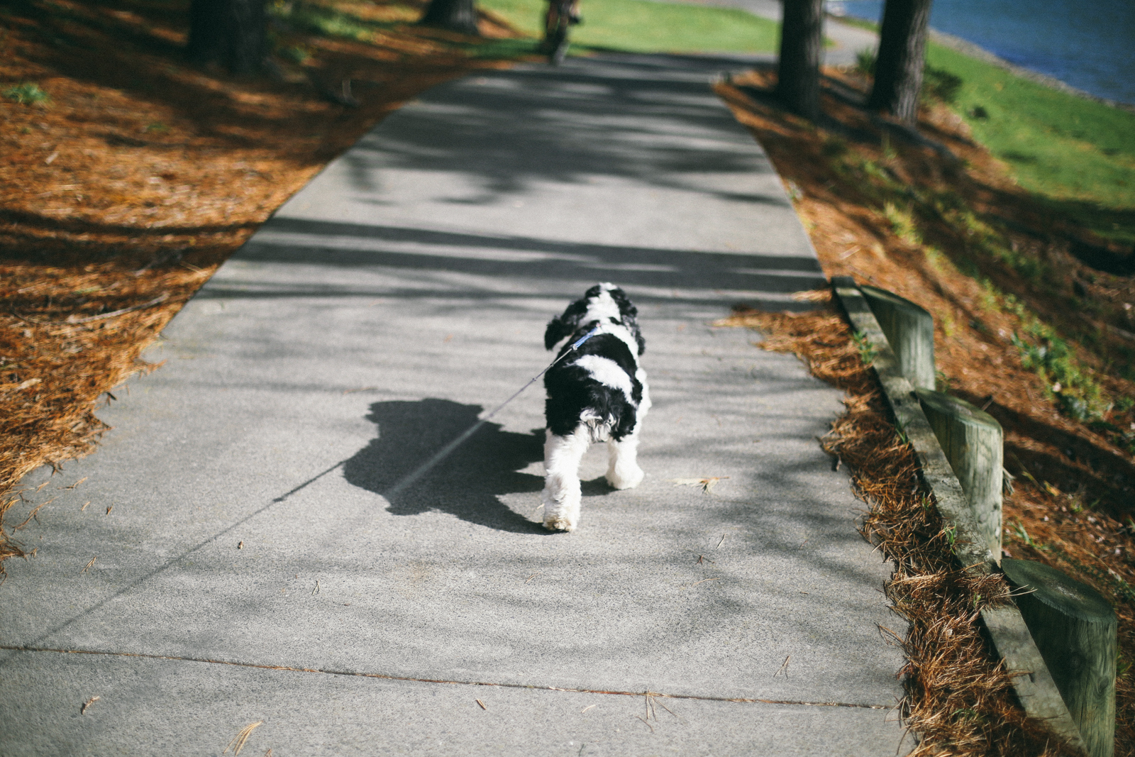 AfternoonStroll-40.jpg