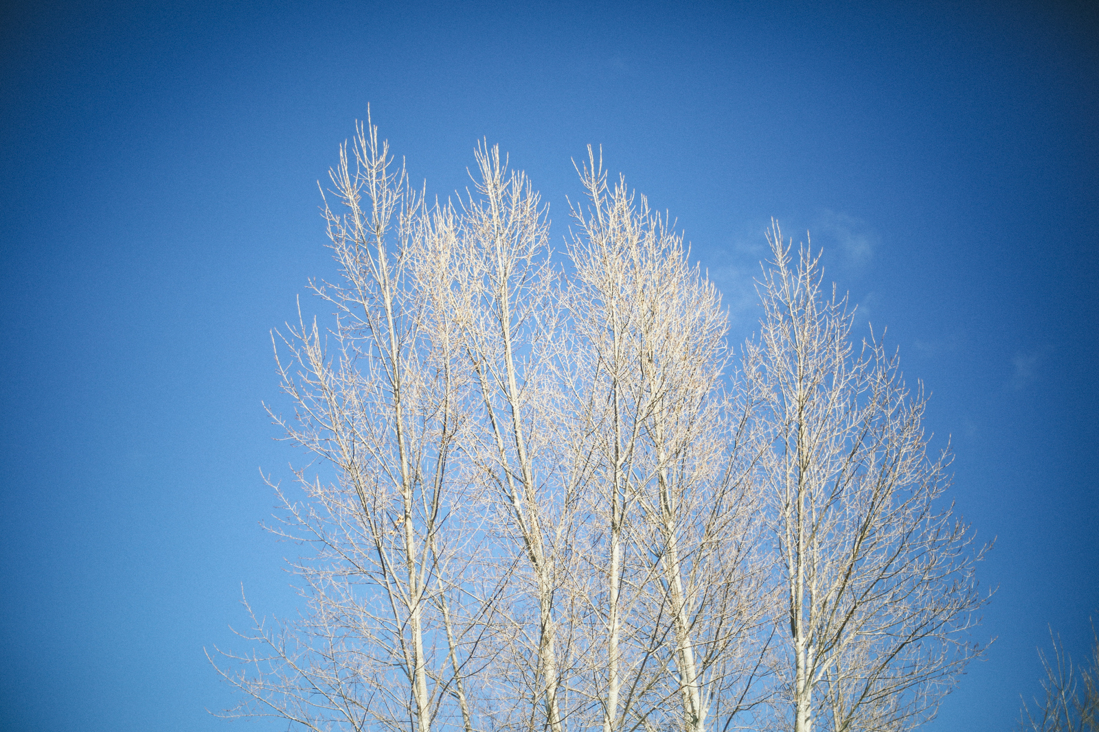 AfternoonStroll-43.jpg