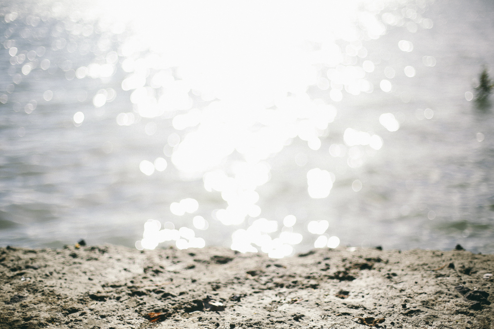 AfternoonStroll-54.jpg