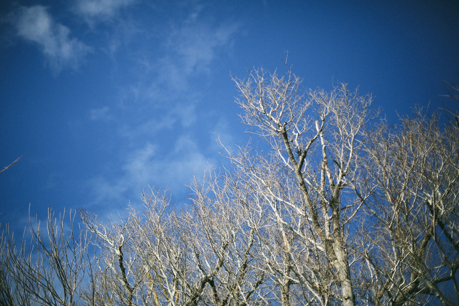 AfternoonStroll-55.jpg