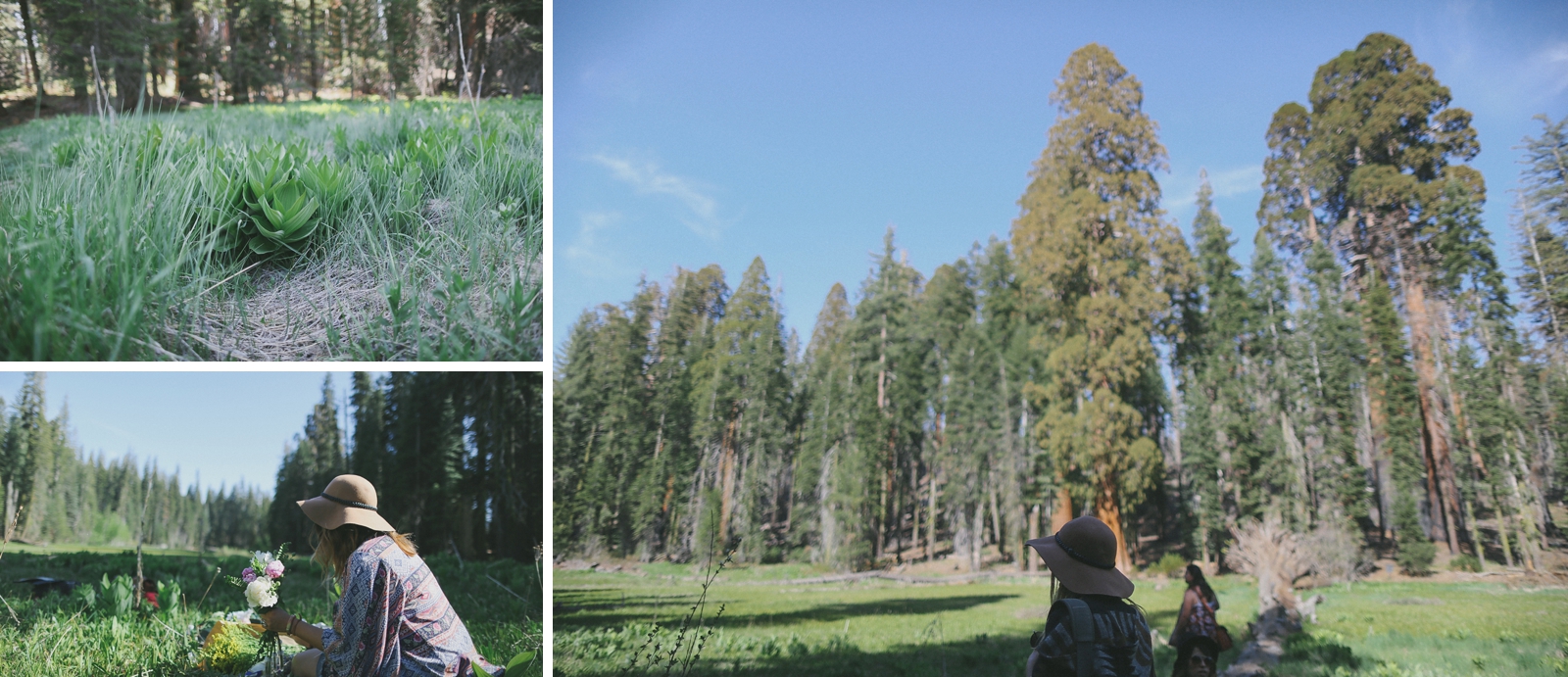 Visalia California Photographer - Patty Lagera