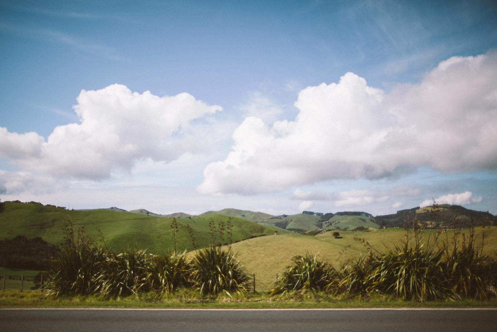 Lately - Patty Lagera Photography_0023.jpg
