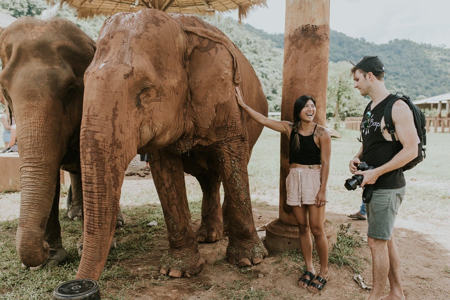 Oh, to be back in Chiang Mai in the sweltering heat amongst these great creatures. 😍⁠
⁠
One adventure last year involved exploring in @elephantnaturepark - an elephant rescue and rehabilitation center in Northern Thailand where you can visit &amp; v