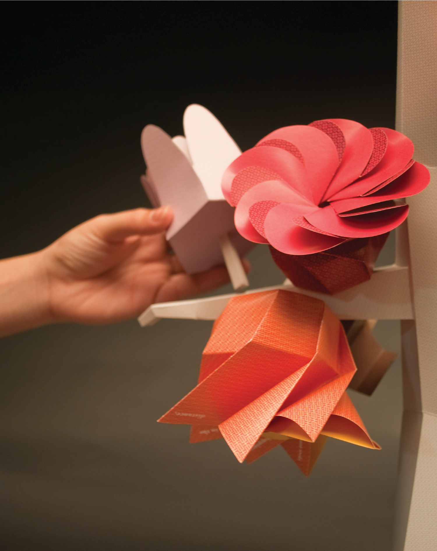  &nbsp; &nbsp; &nbsp; &nbsp; &nbsp; &nbsp; &nbsp; &nbsp; &nbsp; &nbsp; &nbsp; &nbsp; 