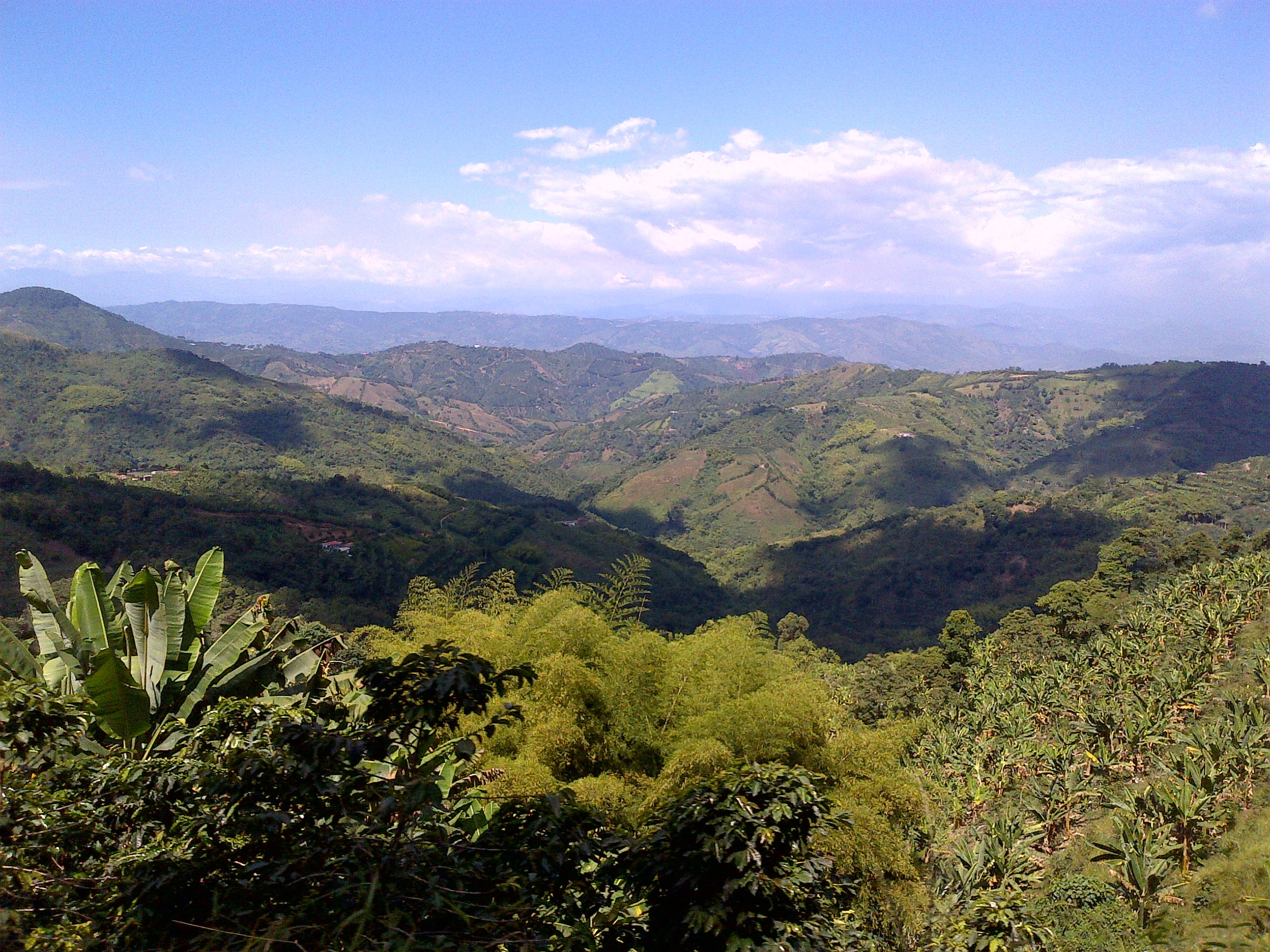 View from Patio Bonito in La Celia