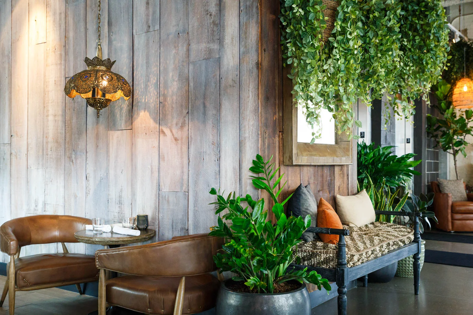 Aba & Dalcy 286-9.jpg