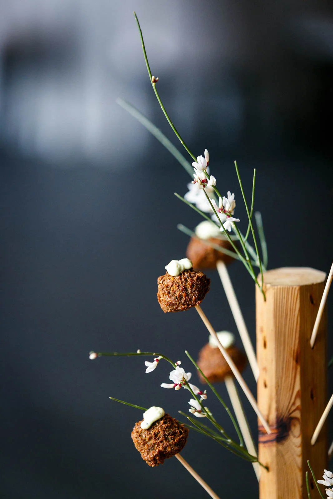 Aba & Dalcy 372-31.jpg