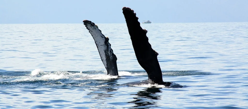 Flickr image source:&nbsp;http://tinyurl.com/nwkerlx