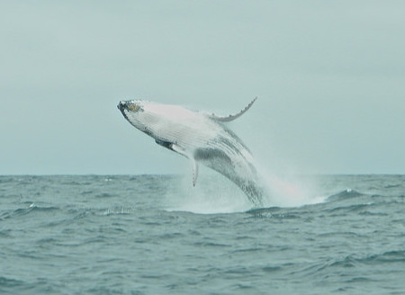 Flickr image source: http://tinyurl.com/qb836wj