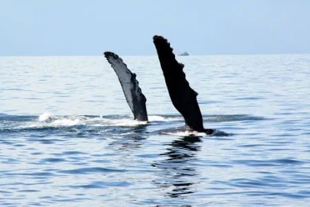 Sync up with Product Marketing