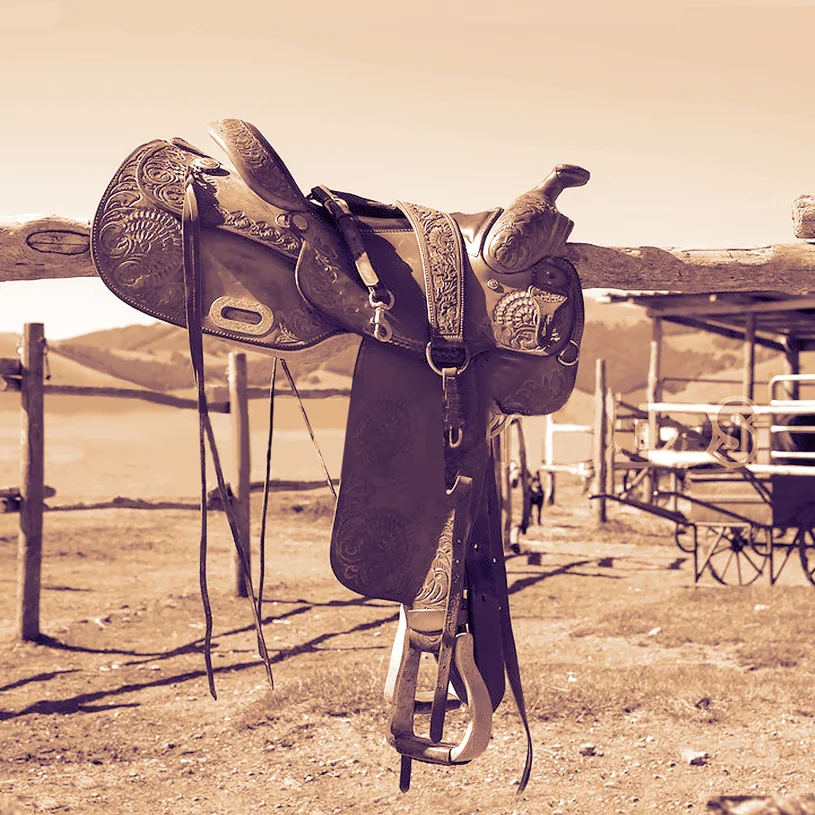 SADDLE2.jpg