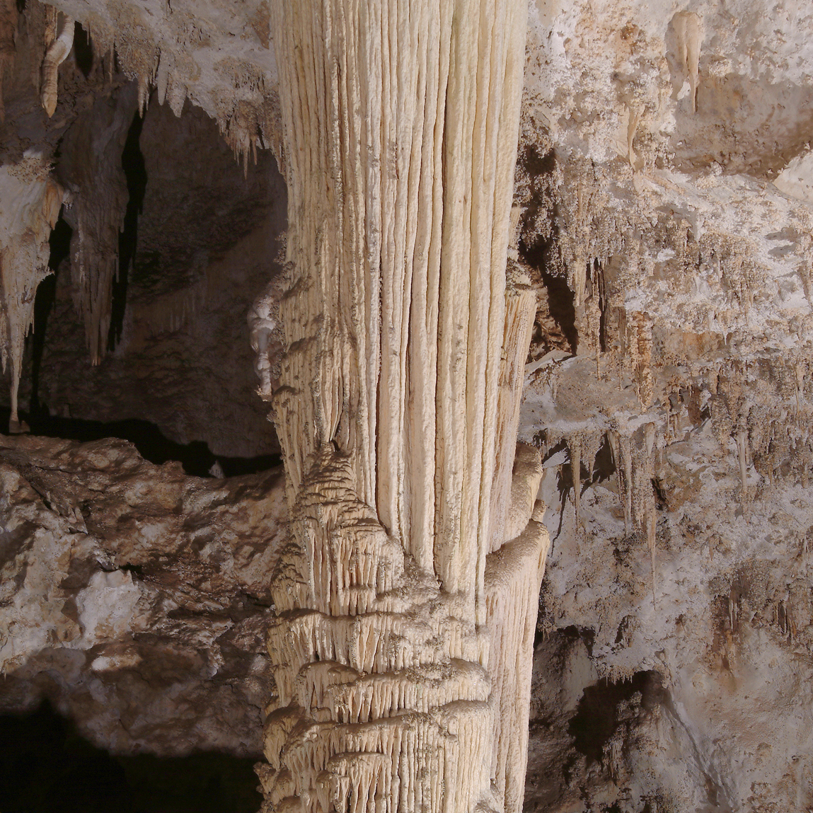 carlsbad_veiled.jpg