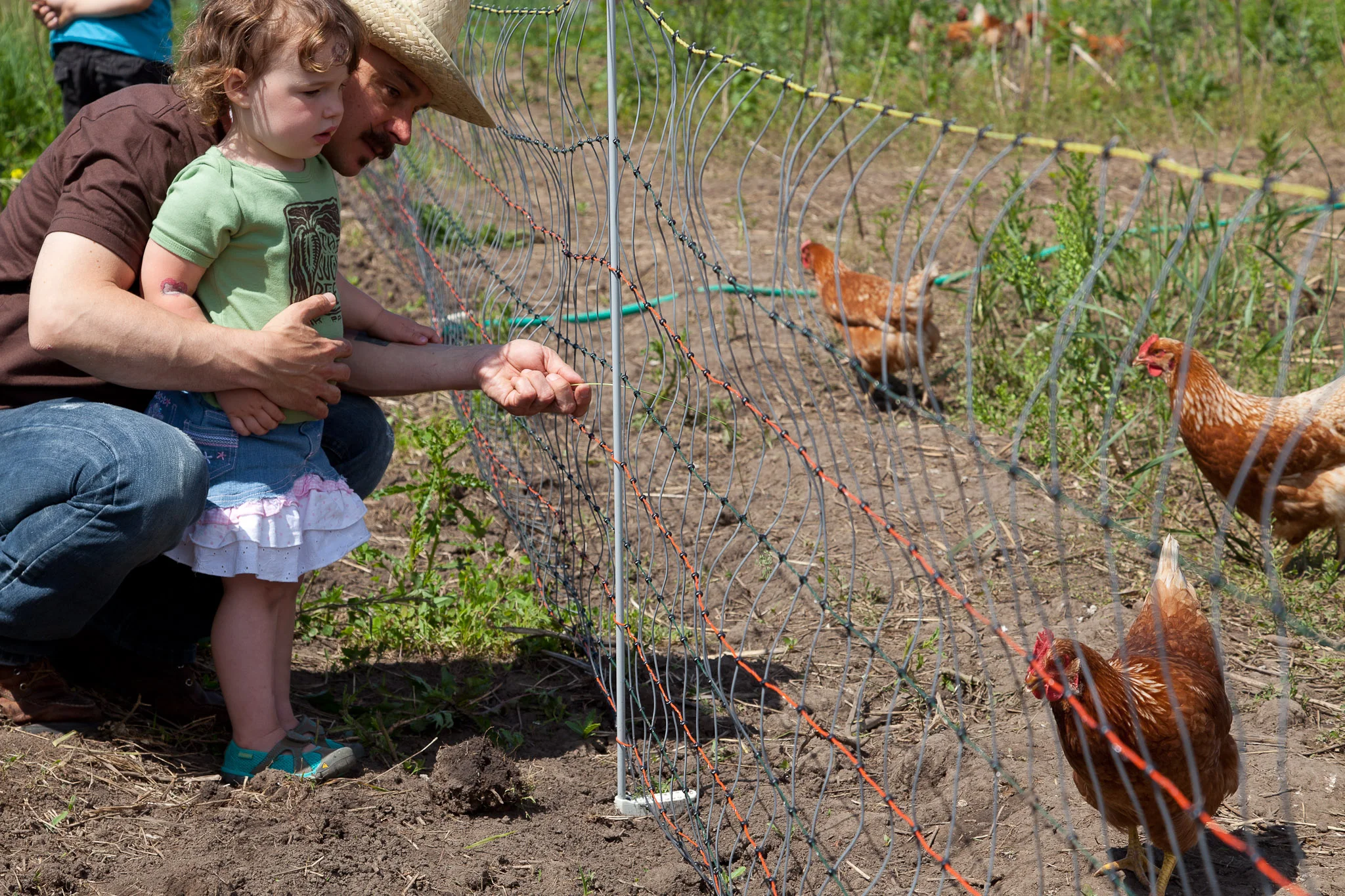 20130608_SugarBeet_Midnight_Sun_Farm_Tour_LR_Sm_2048_70_Fairfax-7814.jpg