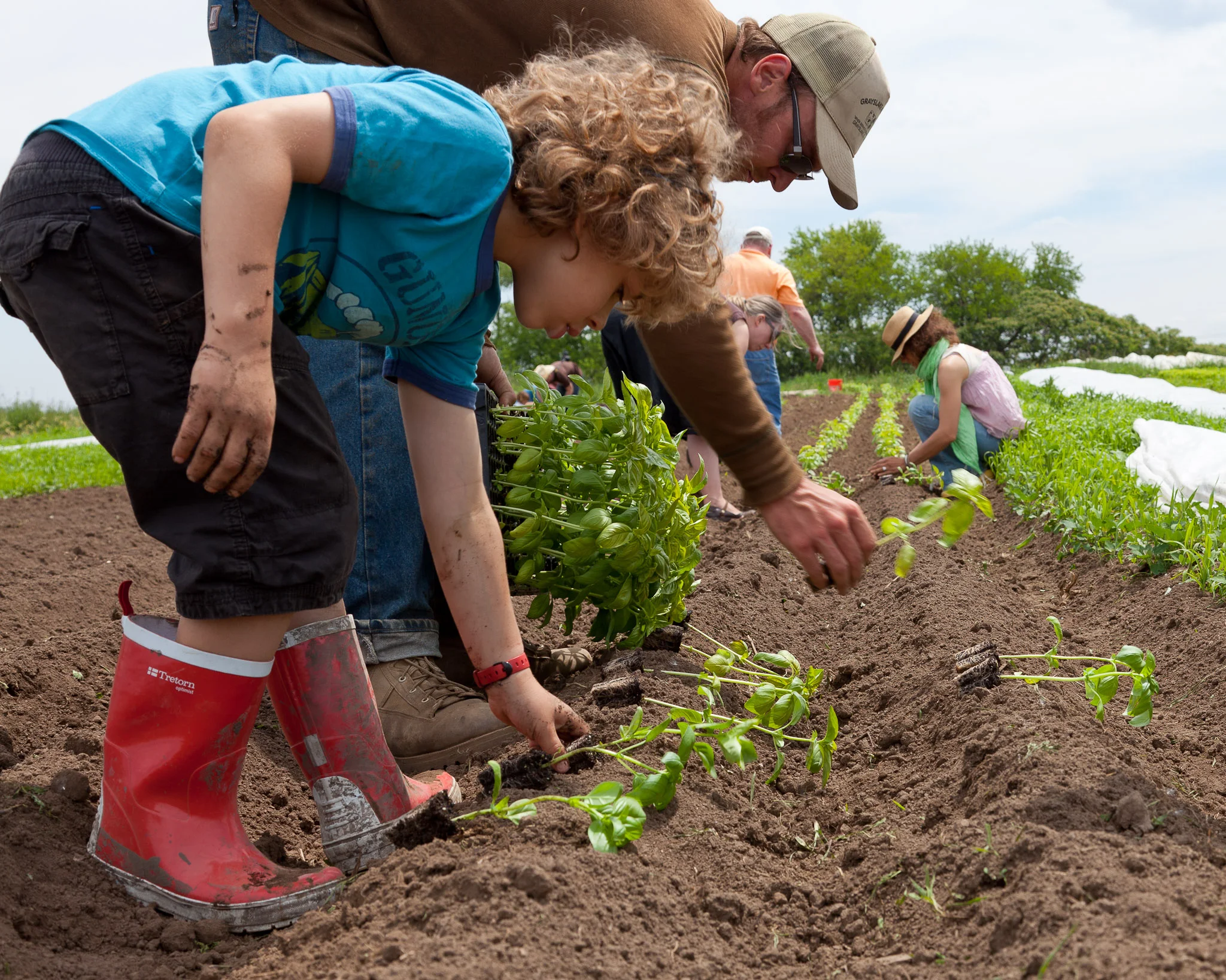20130608_SugarBeet_Midnight_Sun_Farm_Tour_LR_Sm_2048_70_Fairfax-8203.jpg
