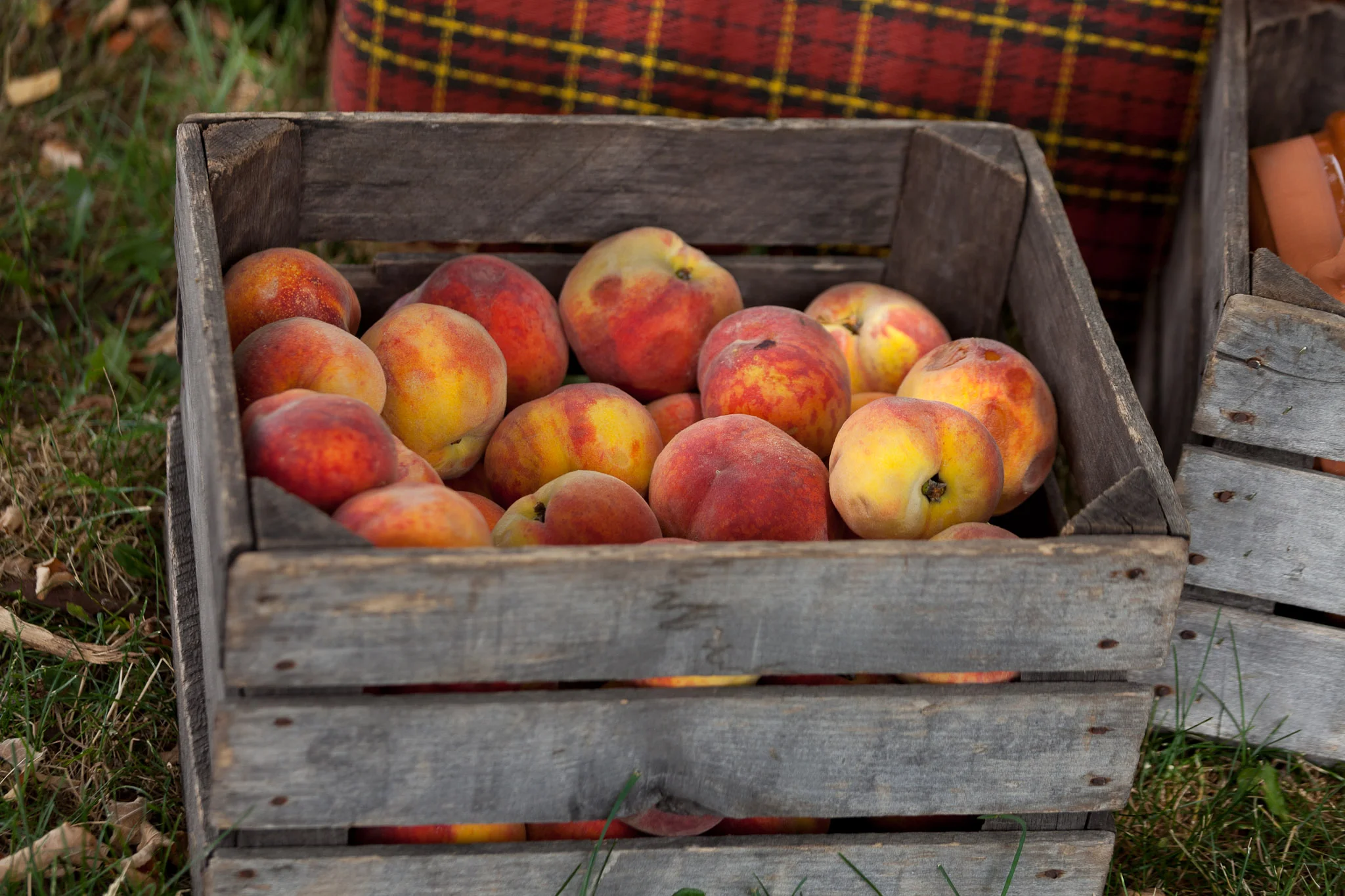 20120623_SugarBeet_Q7_Ranch_SM_2048_70-4311.jpg