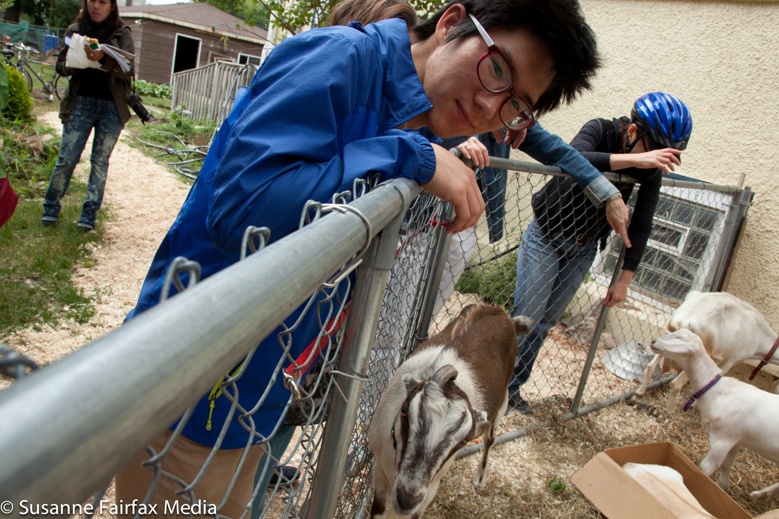 20130727_SugarBeet_Edible_Garden_LR_Goats_Fairfax-0903.jpg