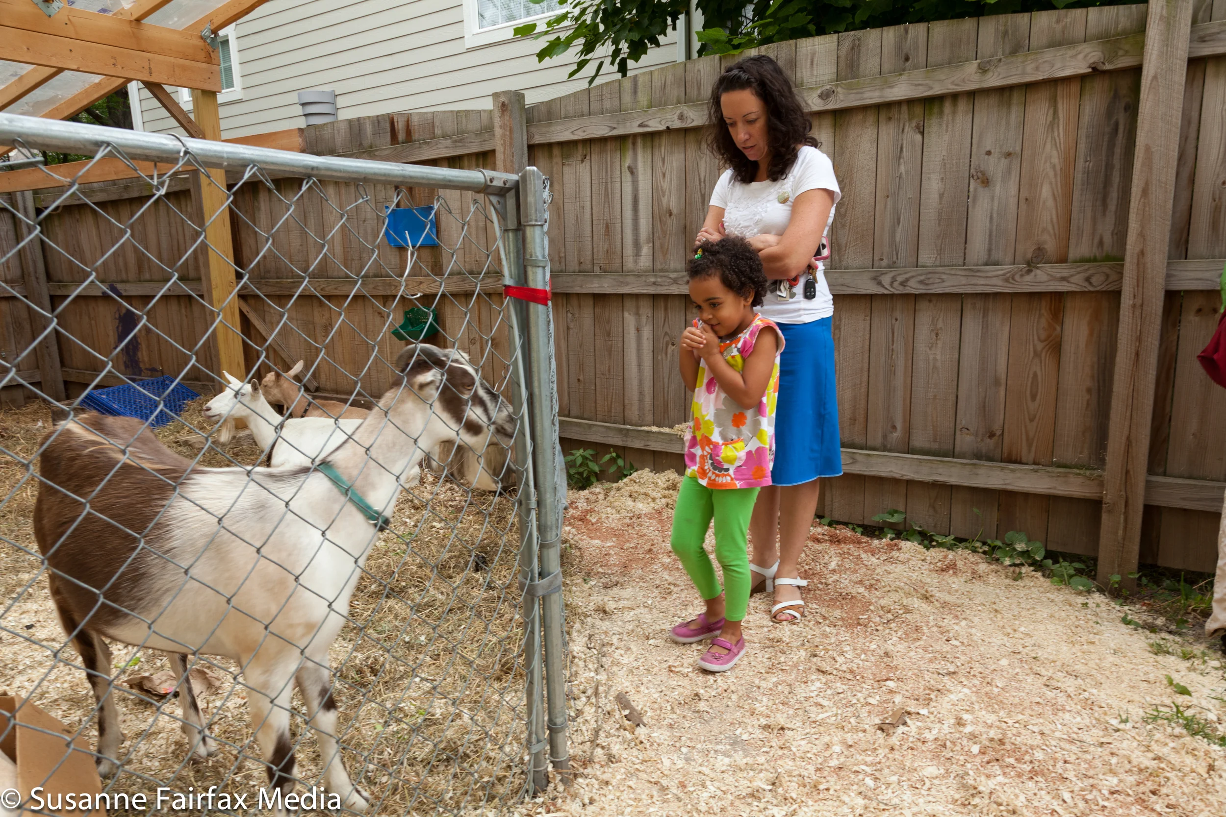 20130727_SugarBeet_Edible_Garden_LR_Goats_Fairfax-0910.jpg