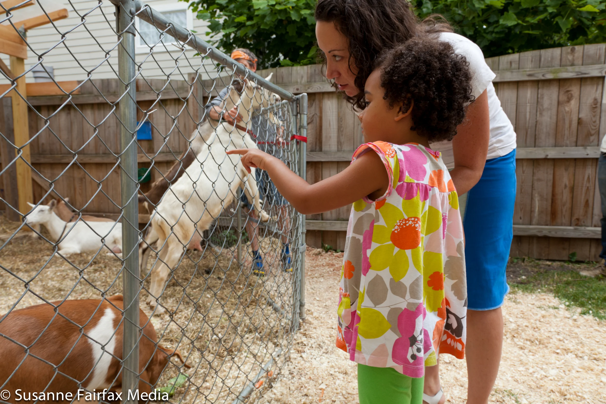 20130727_SugarBeet_Edible_Garden_LR_Goats_Fairfax-0936.jpg