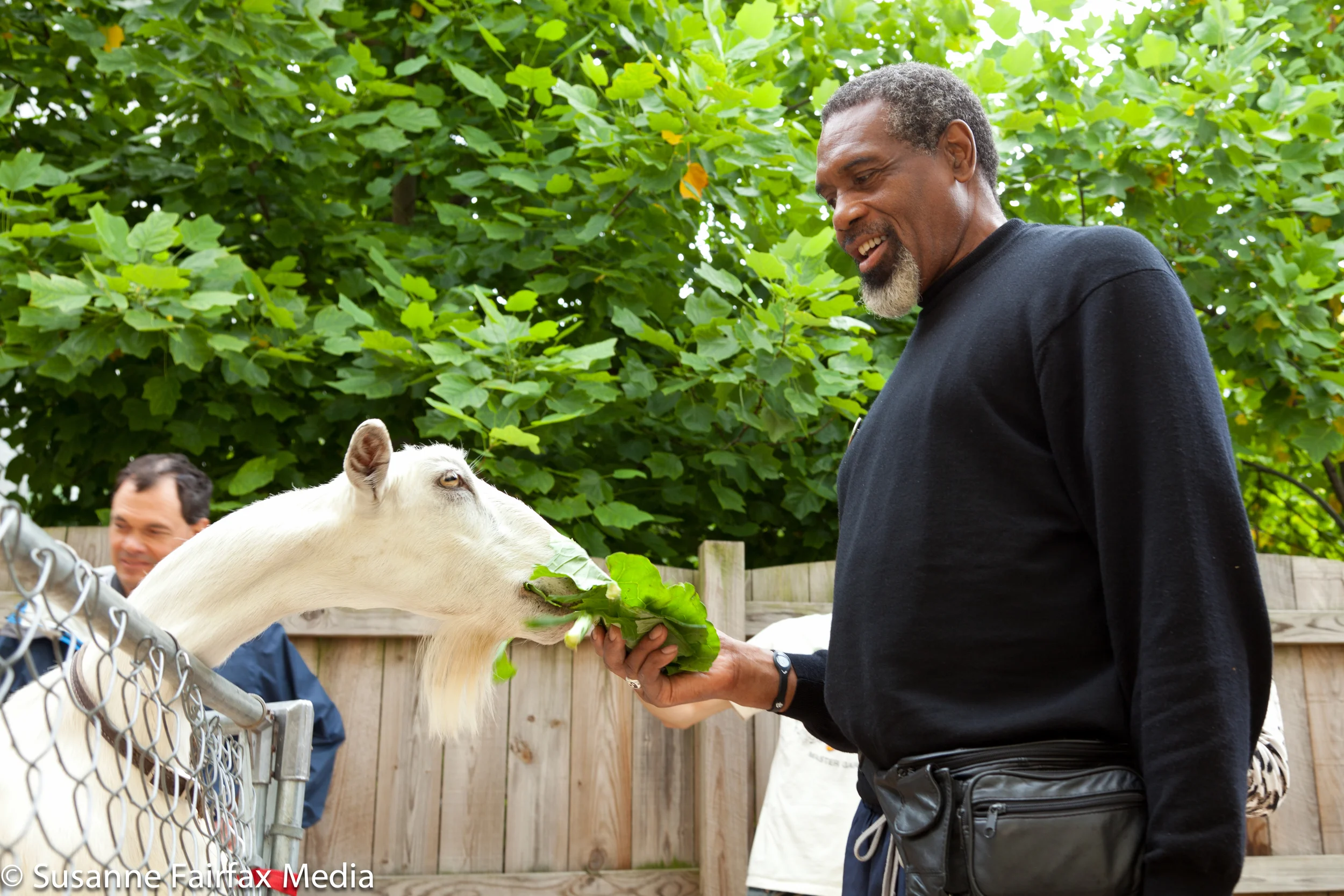 20130727_SugarBeet_Edible_Garden_LR_Goats_Fairfax-0960.jpg