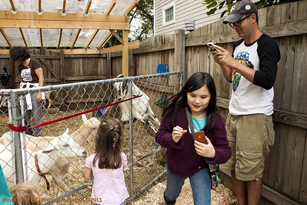 20130727_SugarBeet_Edible_Garden_LR_Goats_Fairfax-2352_MEO.jpg