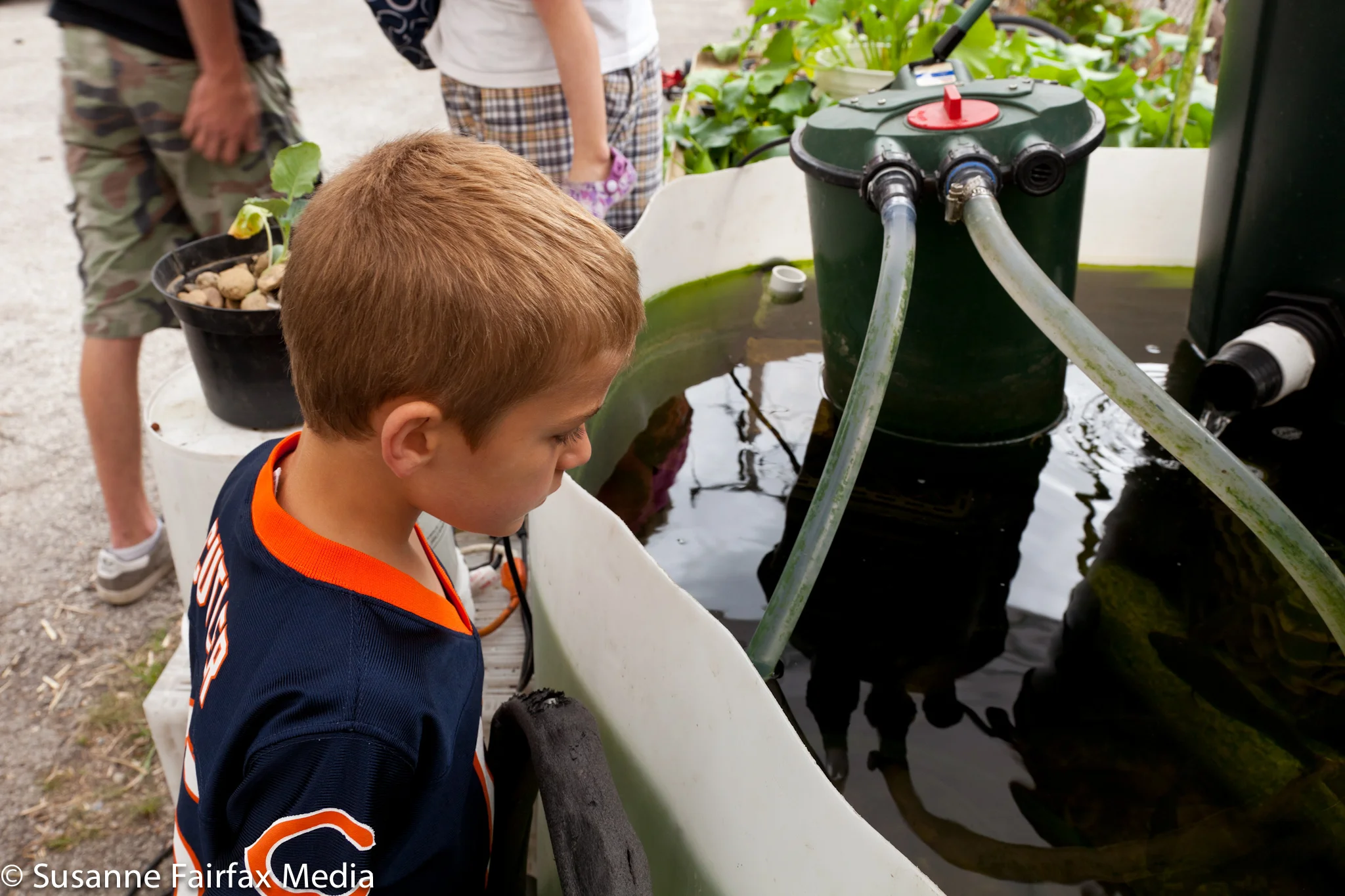 20130727_SugarBeet_Edible_Garden_Tour_DiFebo_Fish-1191.jpg