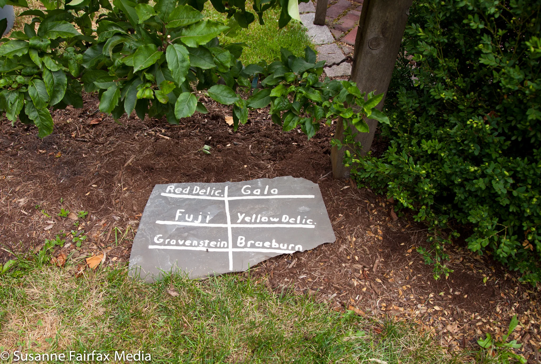 20130727_SugarBeet_Edible_Garden_Tour_LR_Cheney_Mansion-8508.jpg