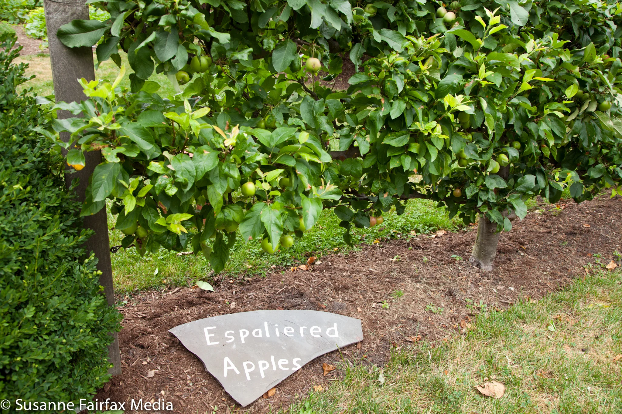 20130727_SugarBeet_Edible_Garden_Tour_LR_Cheney_Mansion-8509.jpg