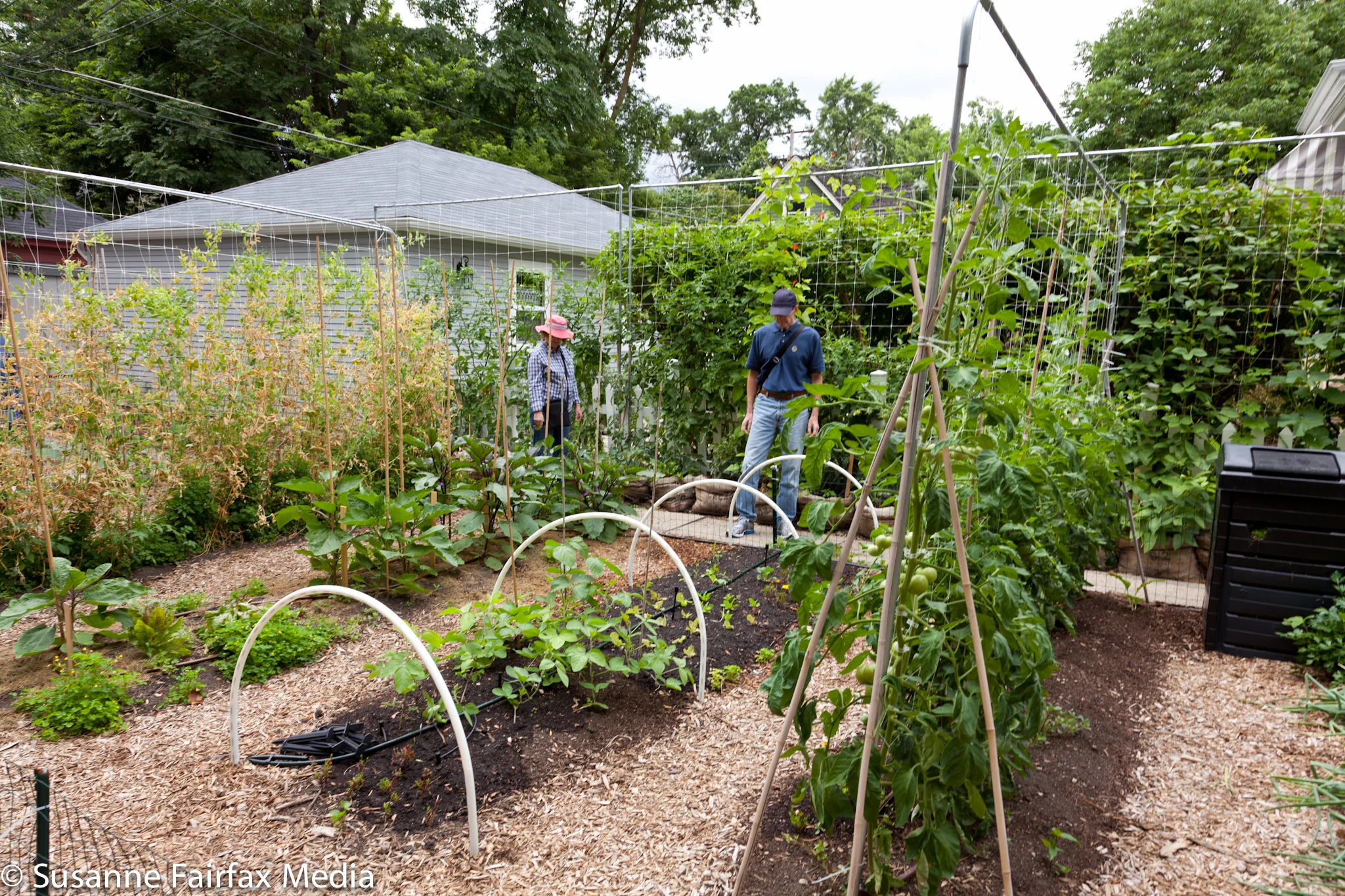 20130727_Edible_Garden_Cross_Stop_6_Wall_of_Food_Fairfax_Sm-1228.jpg