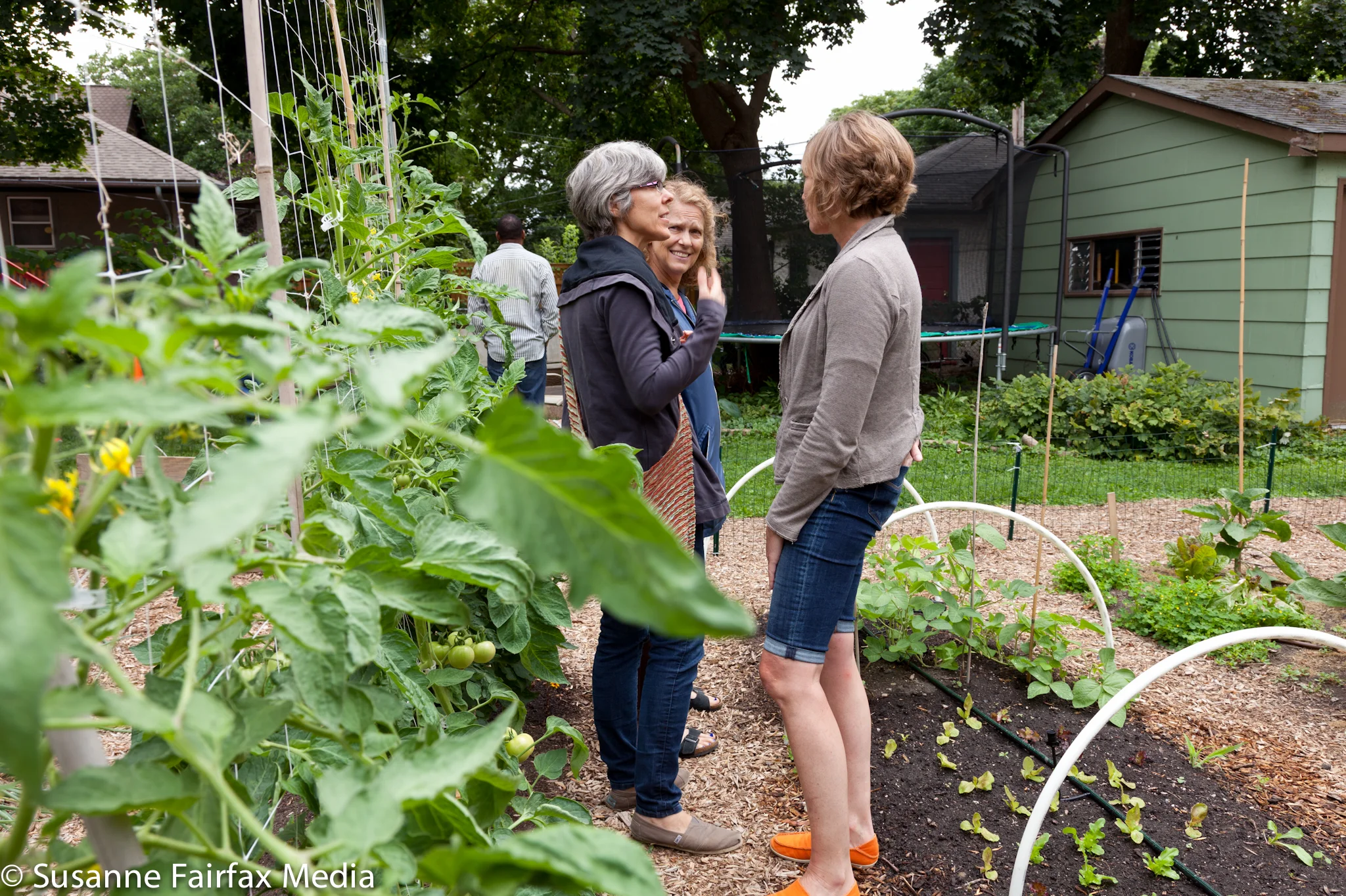 20130727_Edible_Garden_Cross_Stop_6_Wall_of_Food_Fairfax_Sm-1246.jpg