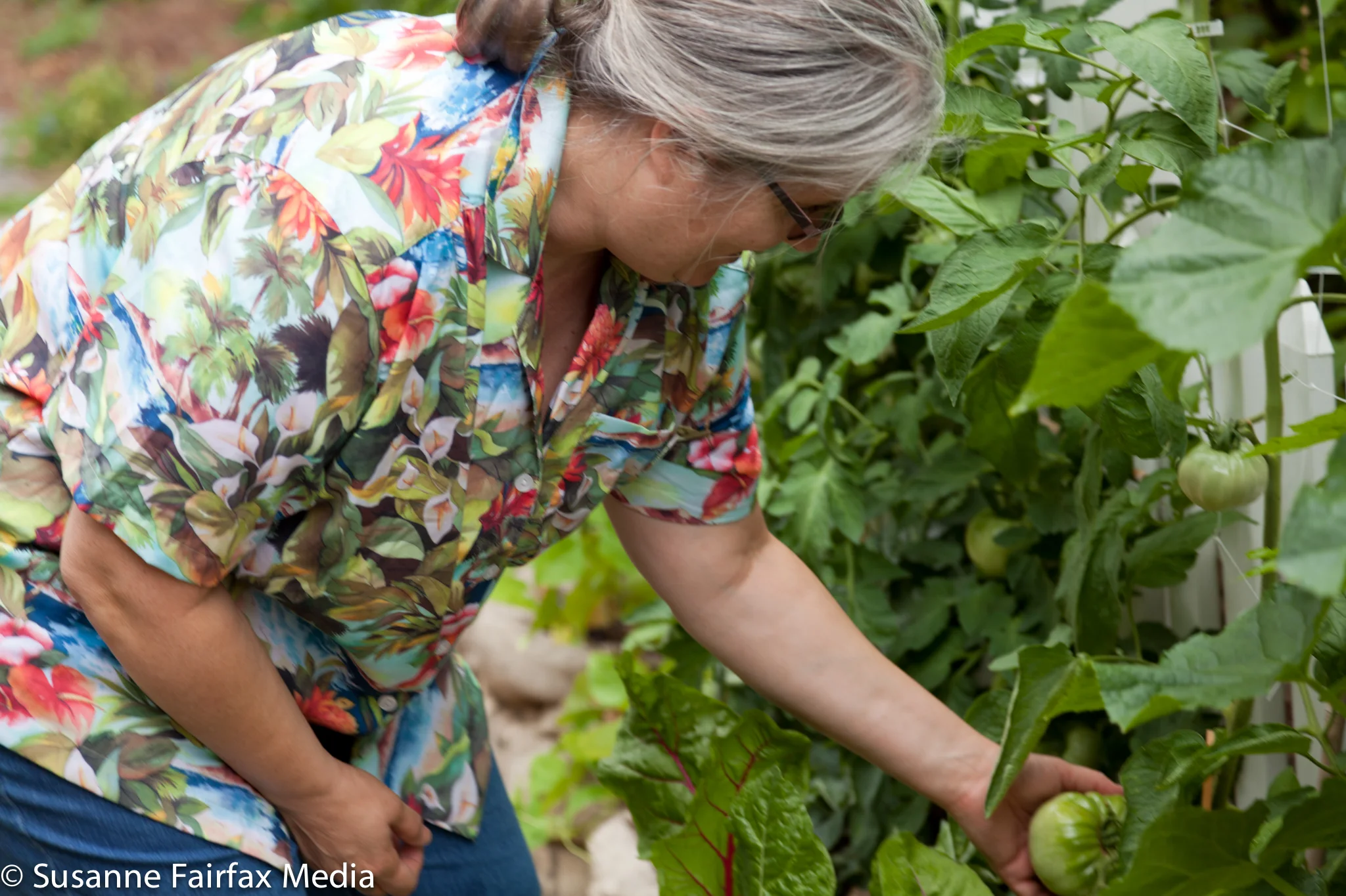 20130727_Edible_Garden_Cross_Stop_6_Wall_of_Food_Fairfax_Sm-1259.jpg