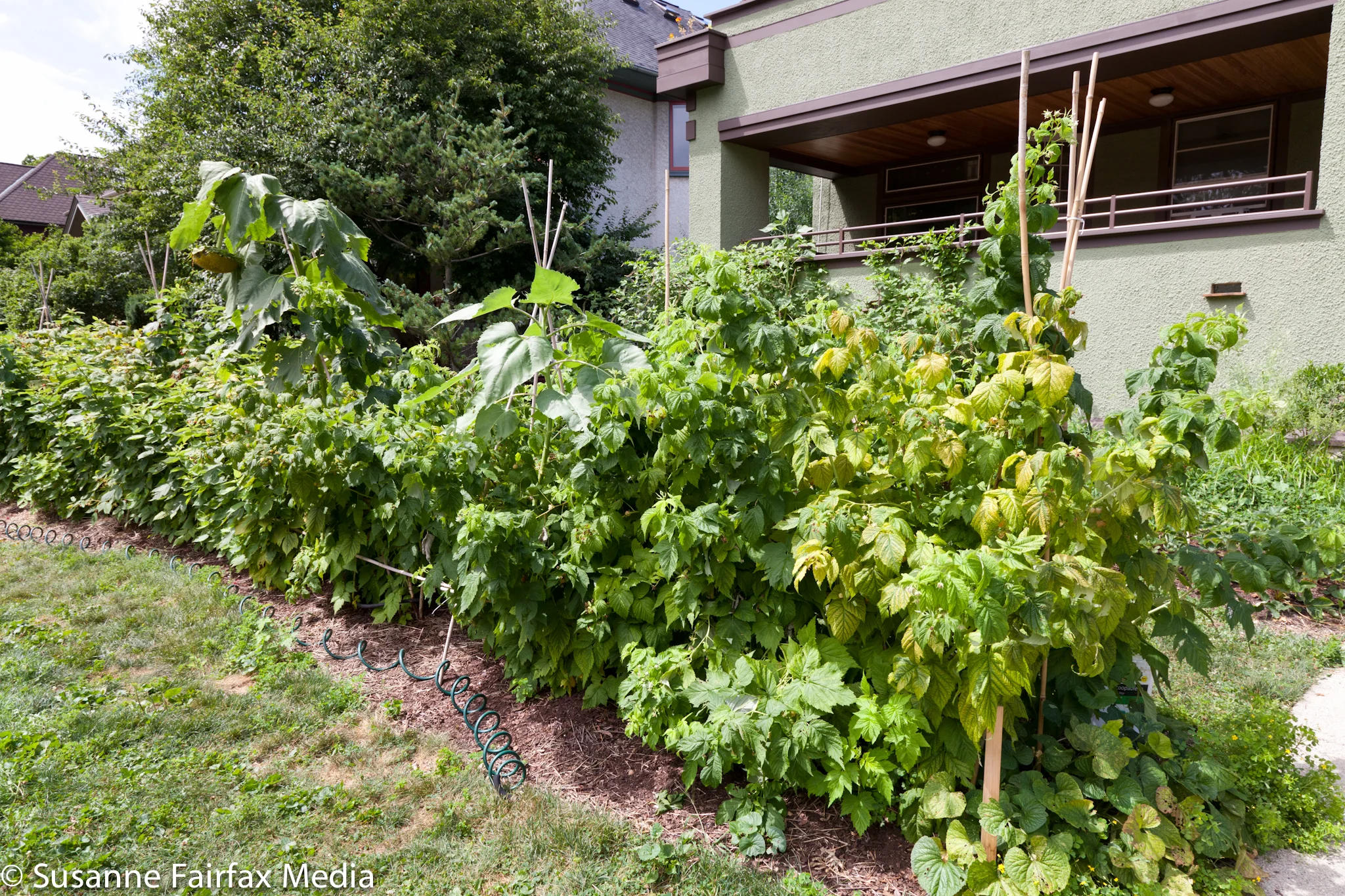 20130727_Edible_Garden_Cross_Stop_6_Wall_of_Food_Fairfax_Sm-8340.jpg