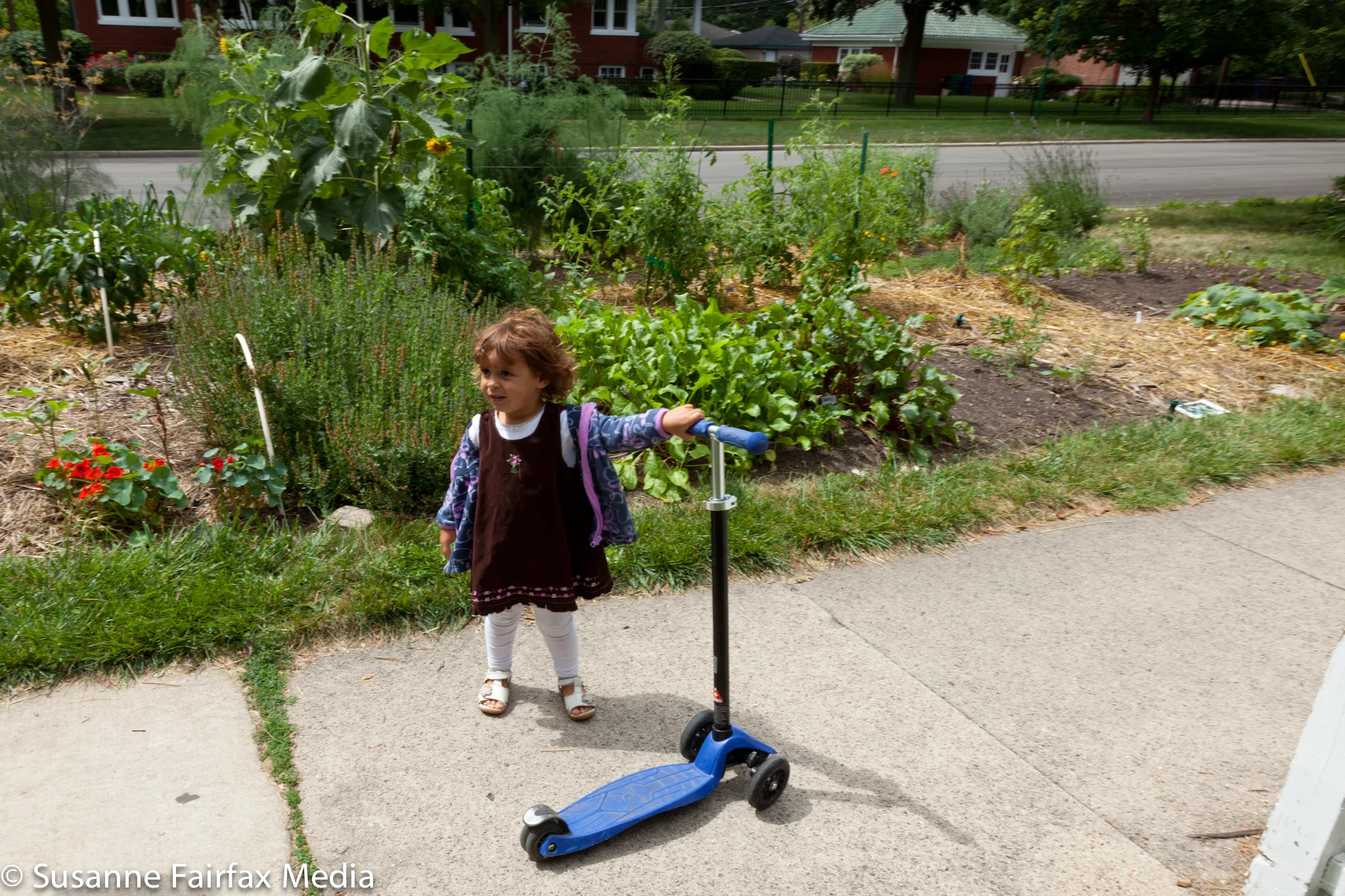 20130727_Edible_Garden_Parkway_Fairfax-0763.jpg