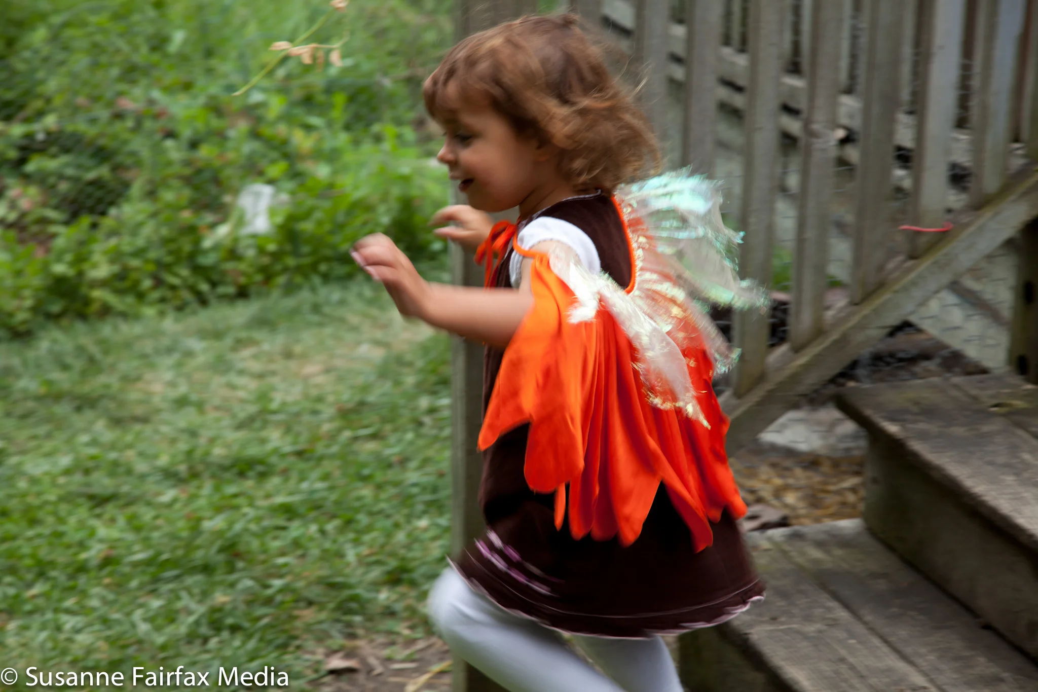 20130727_Edible_Garden_Pellettieri_Permaculture_Fairfax-1140.jpg