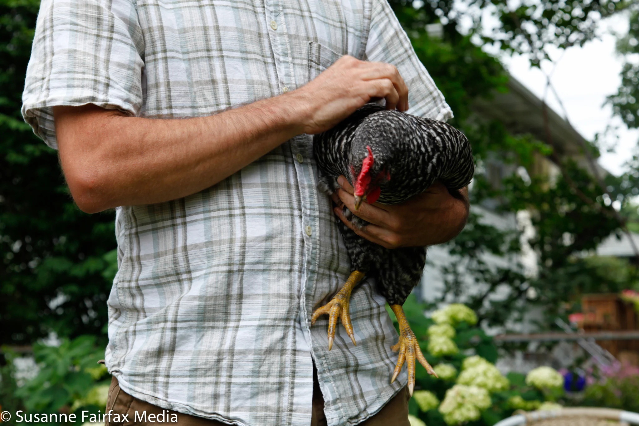 20130727_Edible_Garden_Pellettieri_Permaculture_Fairfax-1155.jpg