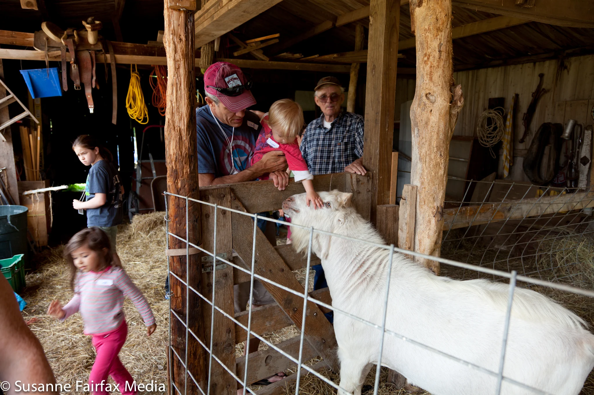 20130630_SugarBeet_Angelic_Organics_Farm_Tour_LR__SFM_Fairfax-9307.jpg
