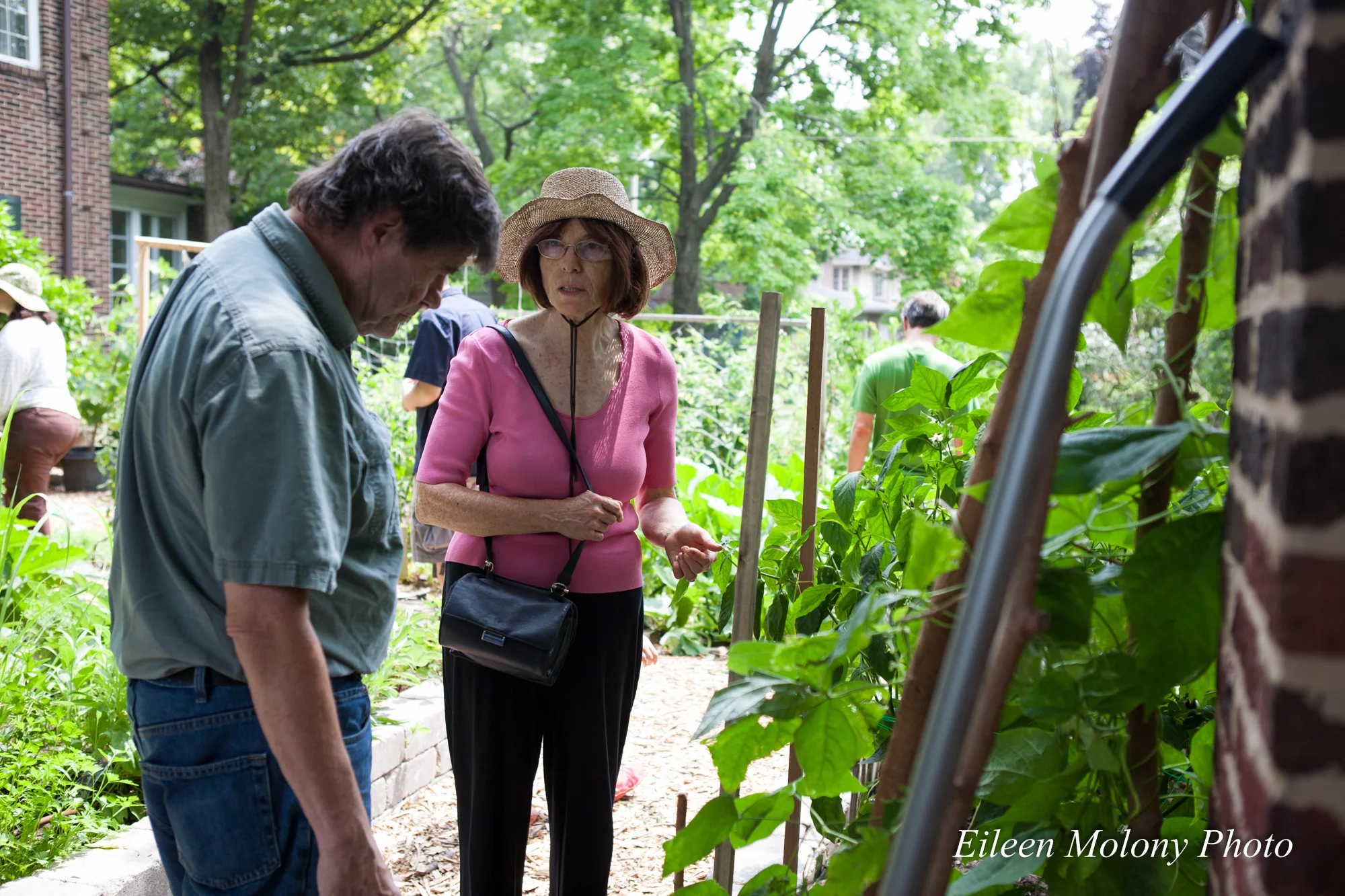 EGT2014 Urban Farm- Eileen Molony-0245.jpg