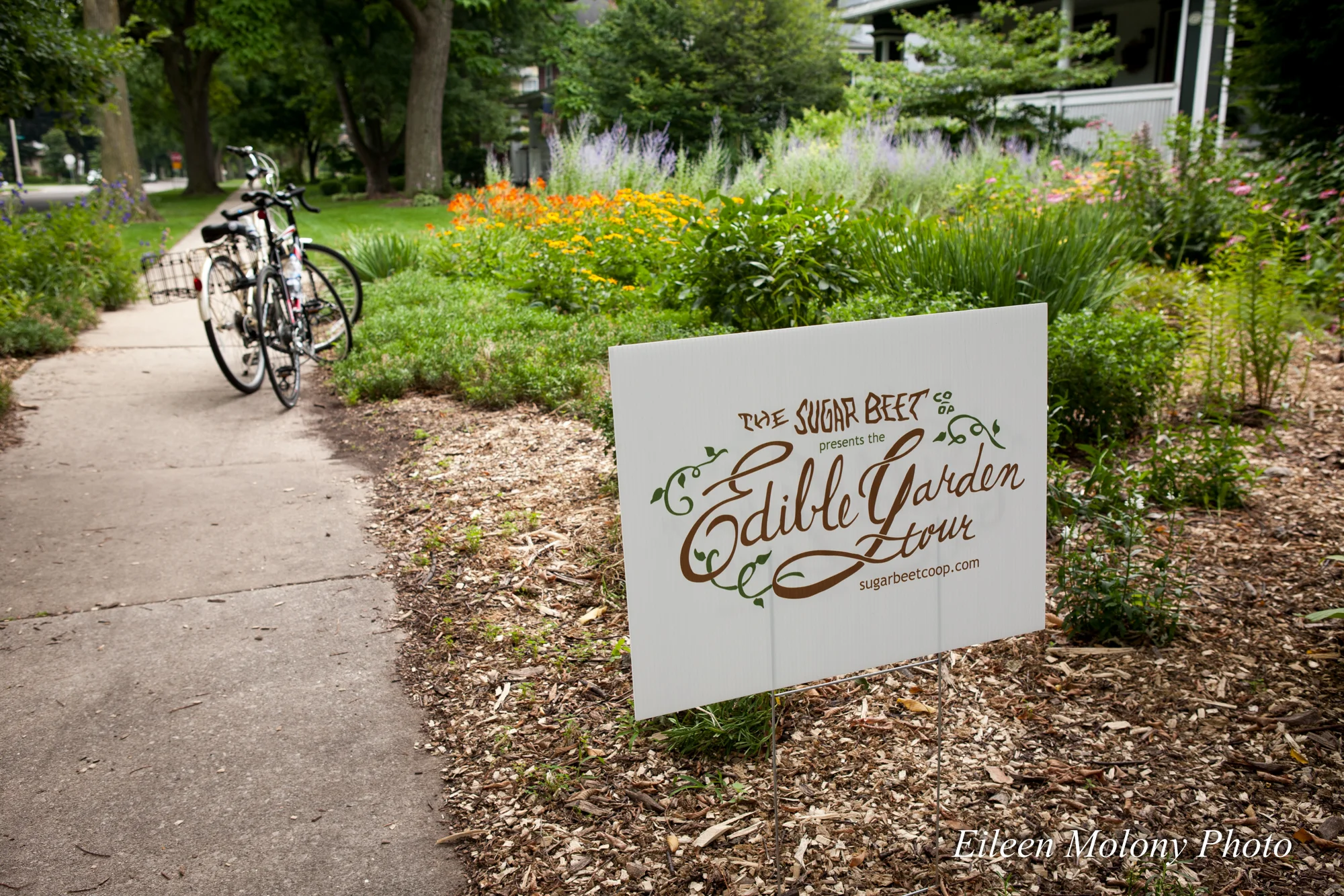 EGT2014 Susan Schiff - Eileen Molony-0264.jpg