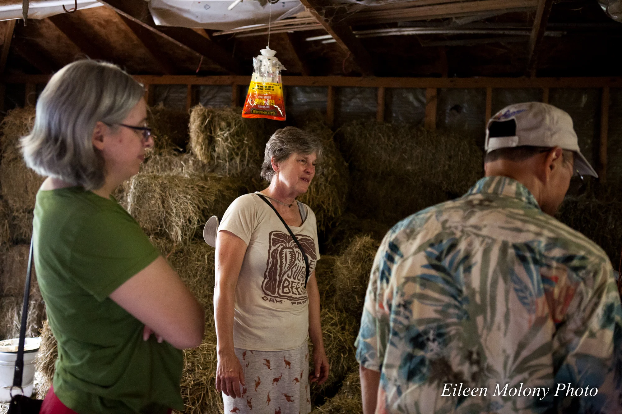 EGT2014 Goat Farm - Eileen Molony-0301.jpg