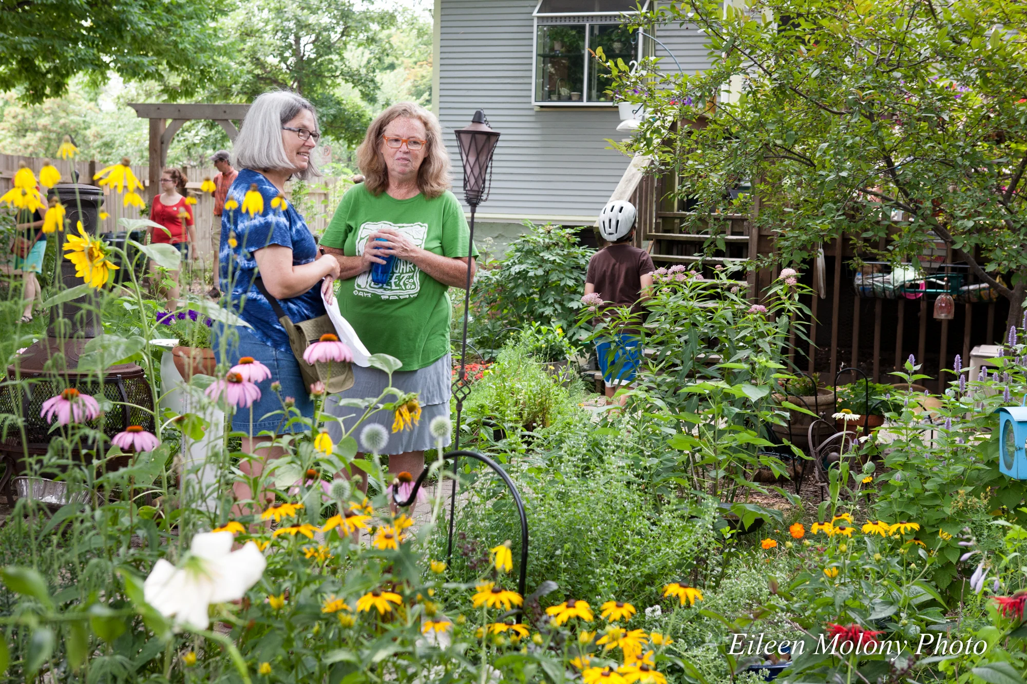 EGT2014 Rabbits Beehives- Eileen Molony-0172.jpg