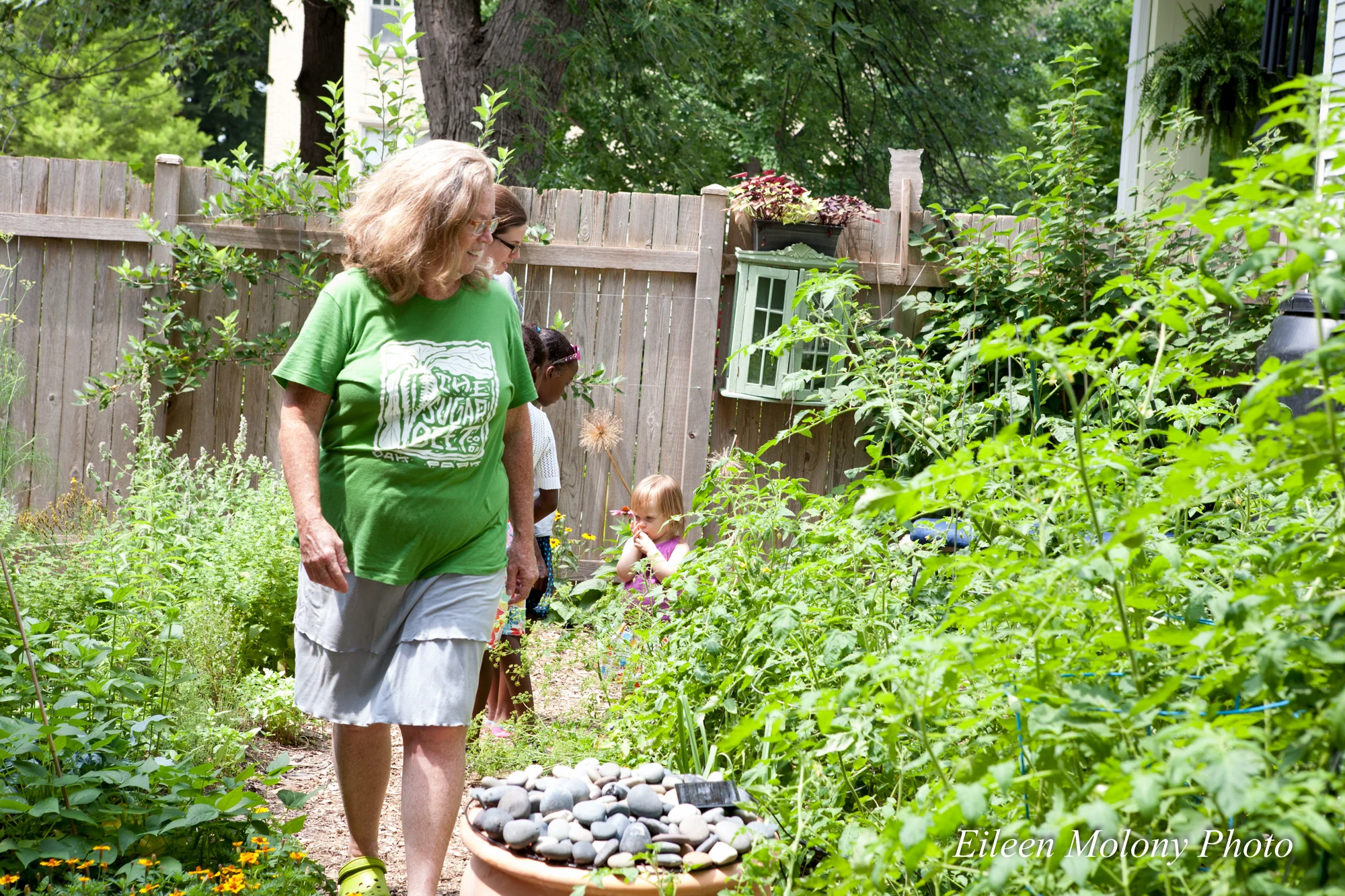 EGT2014 Rabbits Beehives- Eileen Molony-0139.jpg